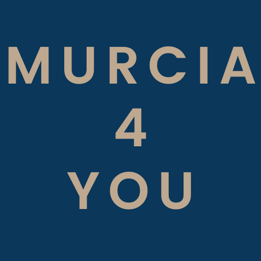 diseño web murcia4you
